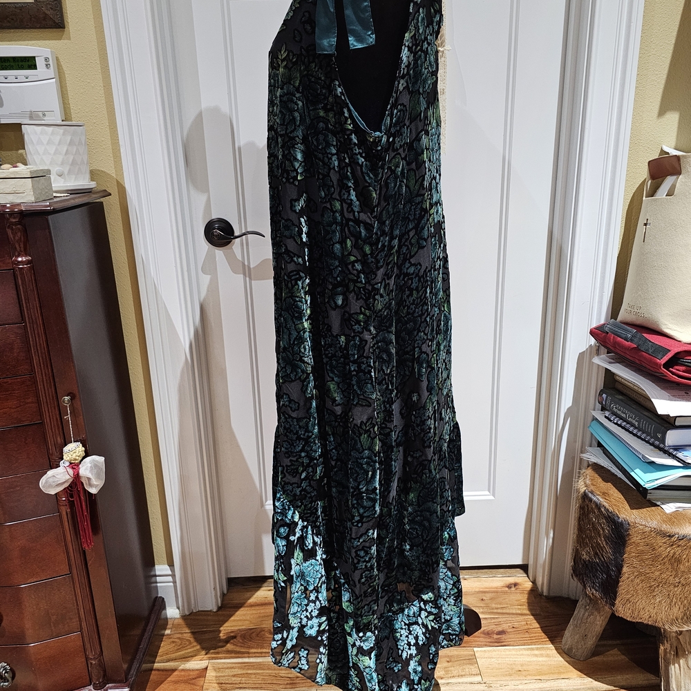 A Rare Bird - Velvet High Low Dress, NWT - Size L/XL - Picture 3 of 7